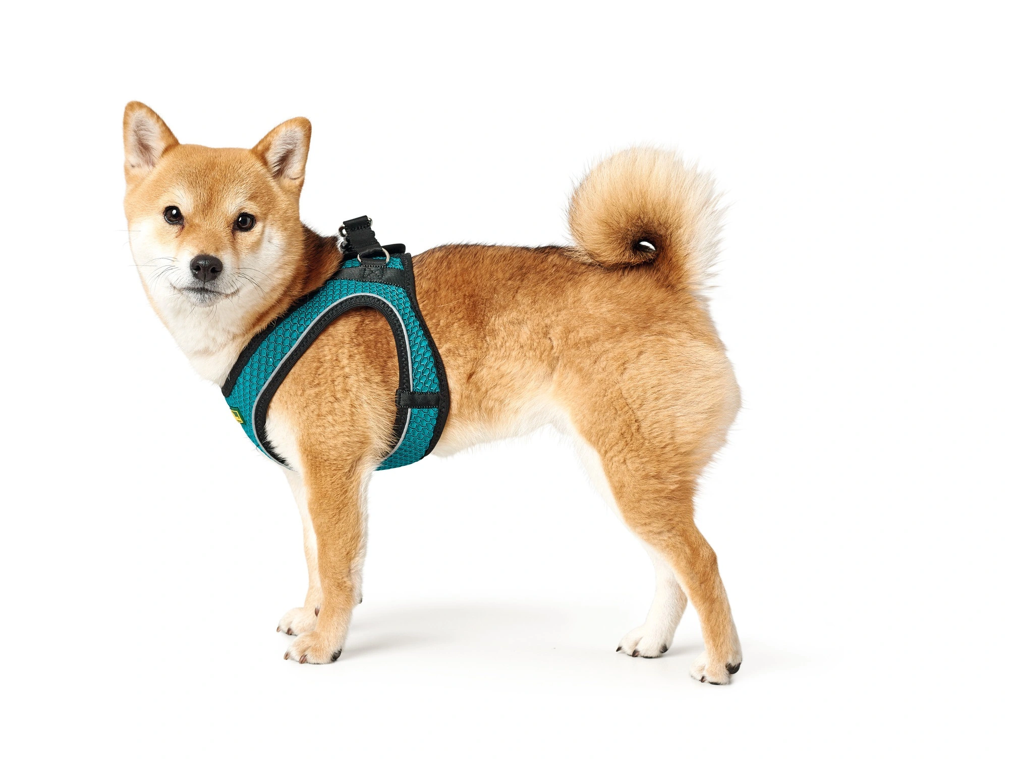 Hunter NY Hilo Comfort hundesele XS turkis mave/bryst 36-40 cm - Let komfort og fri bevægelse